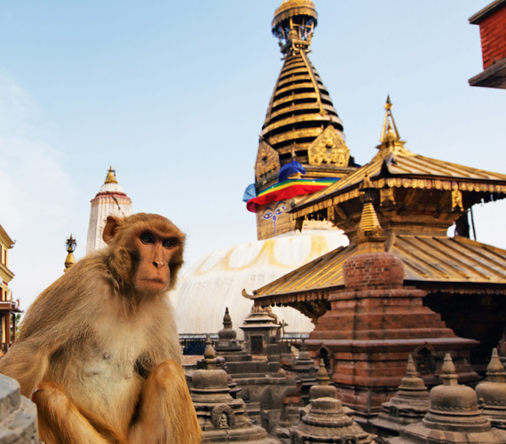 Visit to Swayambhunath Visit to Swayambhunath
